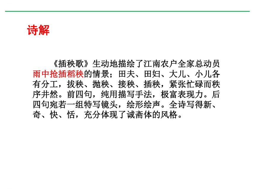 6-2《插秧歌》课件(共13张PPT)2022-2023学年统编版高中语文必修上册