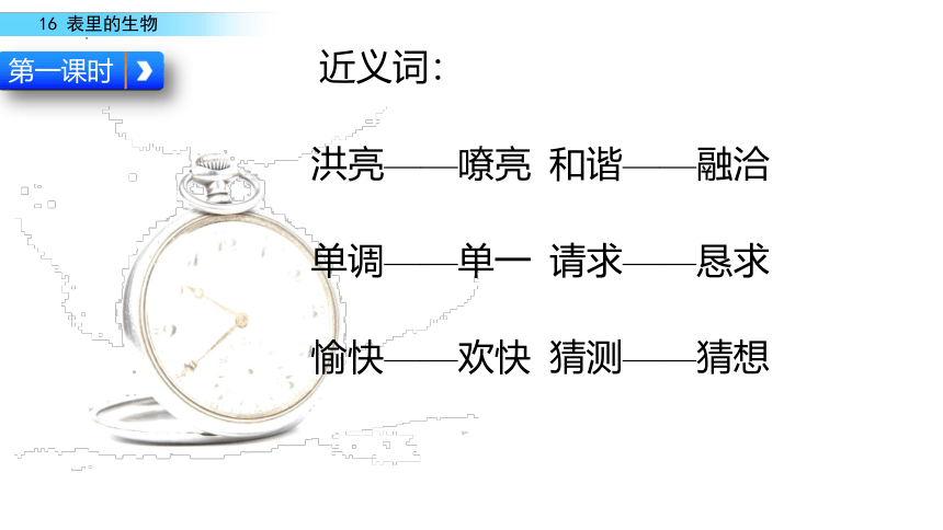 16 表里的生物课件(共23张PPT)