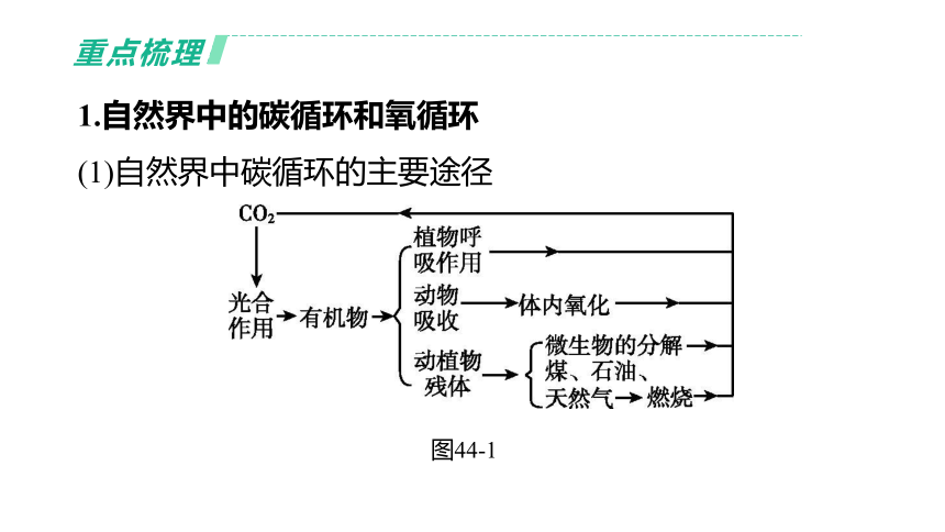 2022年浙江省中考科学一轮复习 第44课时　物质间的循环和转化（课件 38张PPT）