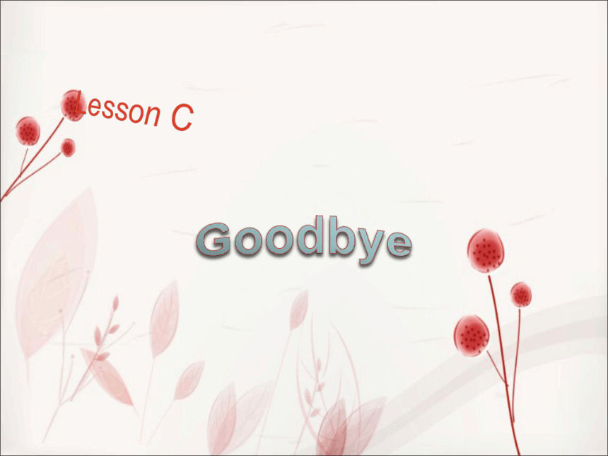 Lesson C goodbye! 课件(共17张PPT)