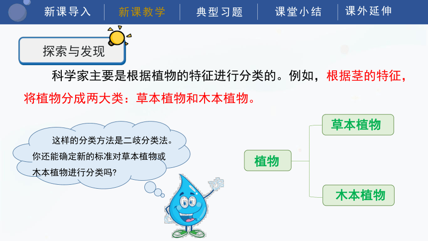 4.11 种类繁多的植物 课件（38张PPT）