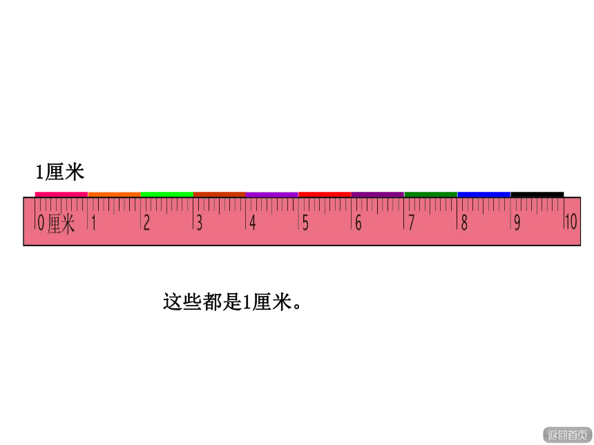 厘米的认识（课件）-一年级下册数学青岛版（五四制）(共13张PPT)