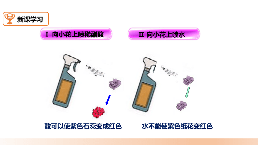 人教版九年级上册 6.3《二氧化碳和一氧化碳 第一课时》课件（24张PPT）