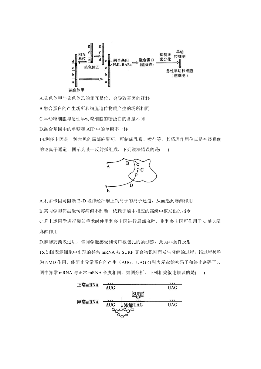 湖南省永州市2021届高三下学期5月高考信息预测生物试题（四） Word版含答案