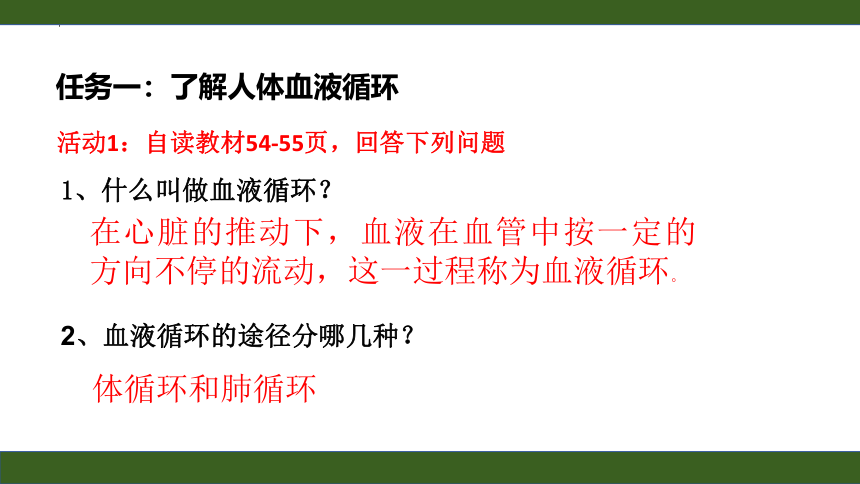 3.3.3  物质运输的途径  课件-济南版生物七年级下册(共22张PPT)