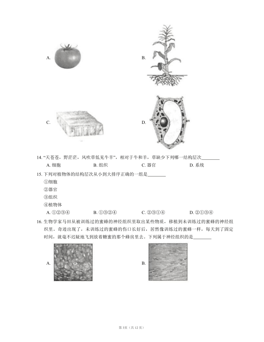 人教版七上生物 第2单元 第2章细胞怎样构成生物体 检测题(word版含解析）