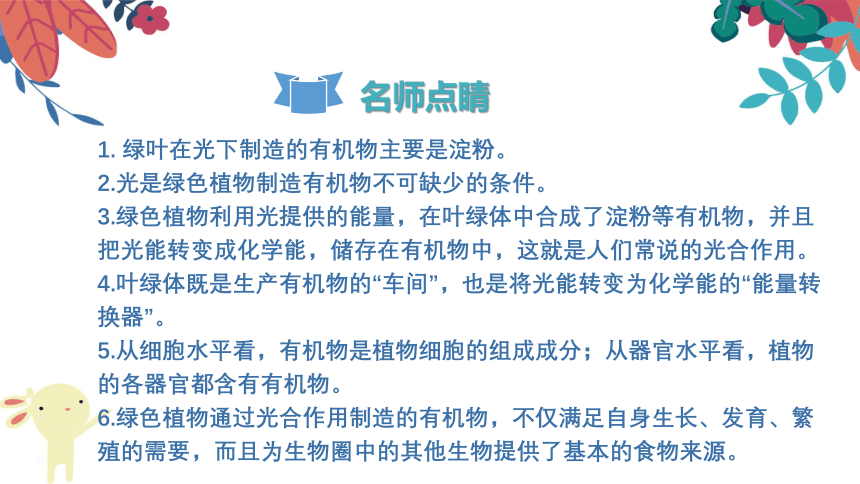 2021-2022学年初中生物人教版七年级上册 3.4绿色植物是生物圈中有机物的制造者  复习课件(共24张PPT)