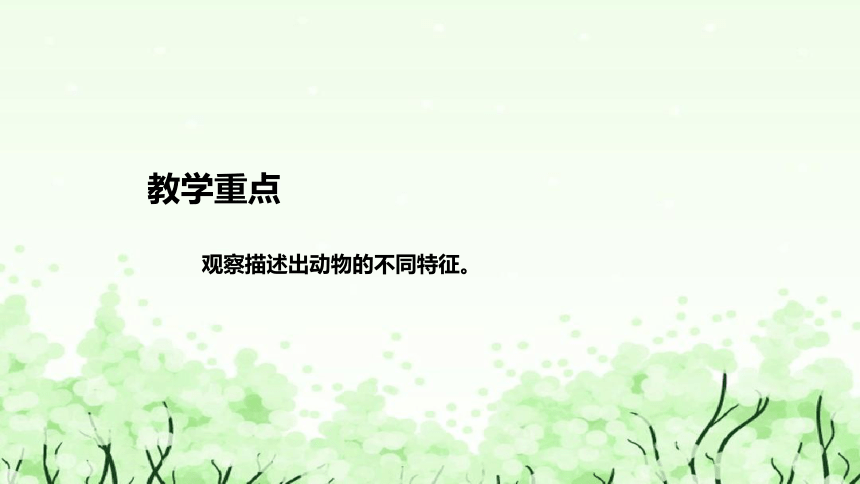 苏教版（2017）小学科学一年下册《形形色色的动物》说课（附反思、板书）课件(共38张PPT)