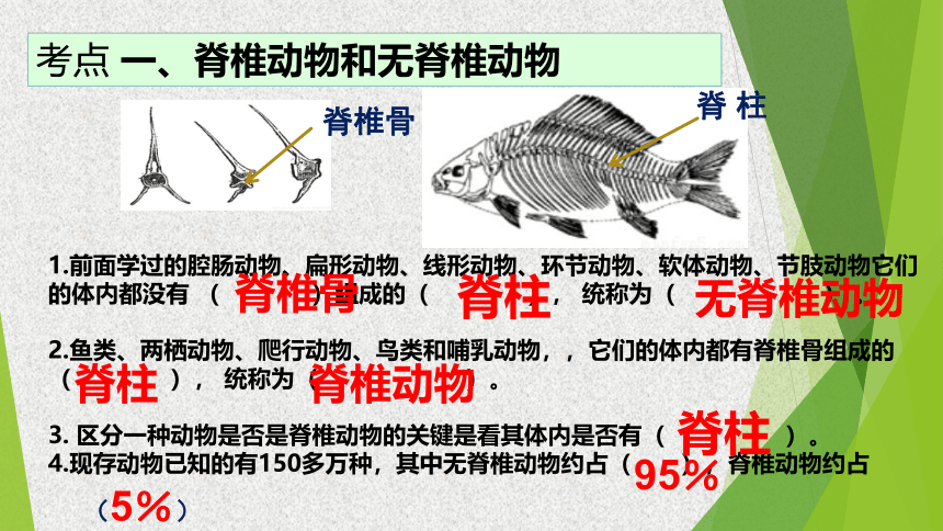 第五单元 第一章 动物的主要类群（第1—3节）复习课件(共25张PPT)