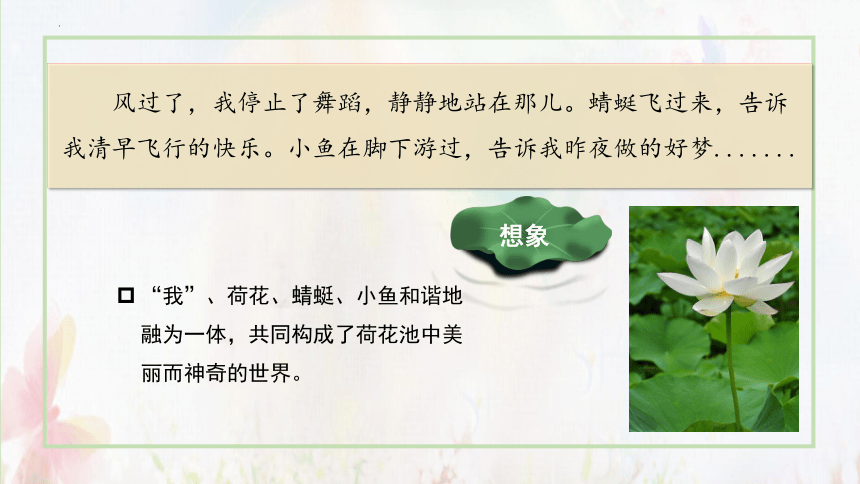 第3课《荷花》  第二课时  课件