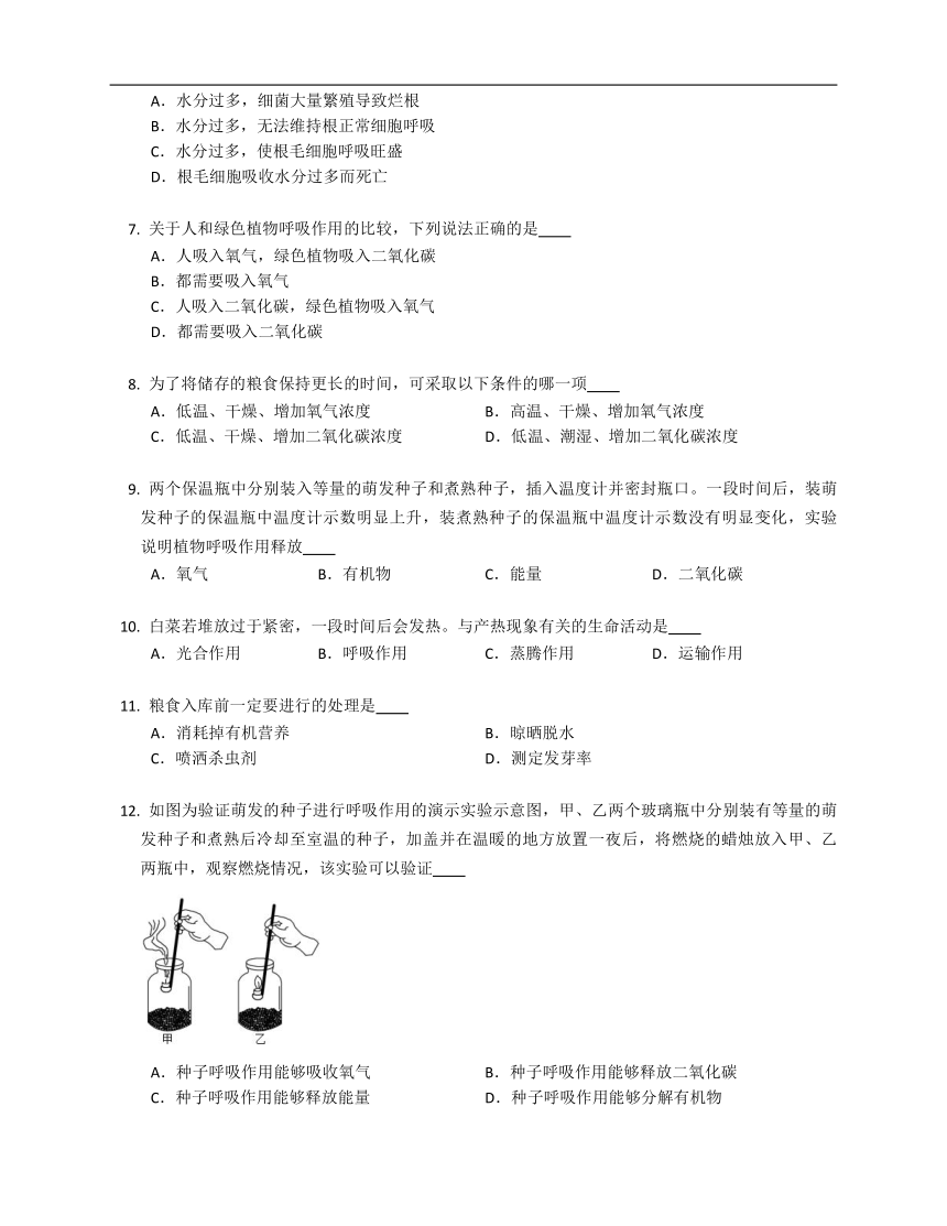 2023届中考生物专题强化练习：呼吸作用的过程（Word版 部分含解析）