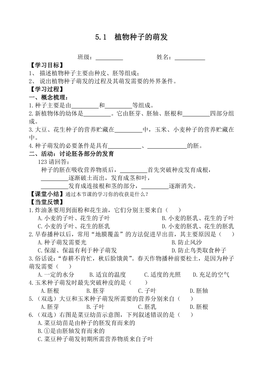 苏教版生物七年级上册5.1  植物种子的萌发导学案（无答案）