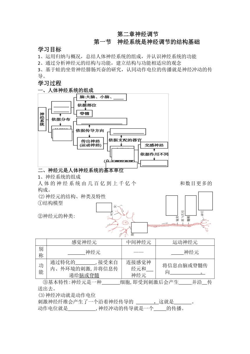 2.1 神经系统是神经调节的结构基础 学案（含答案）