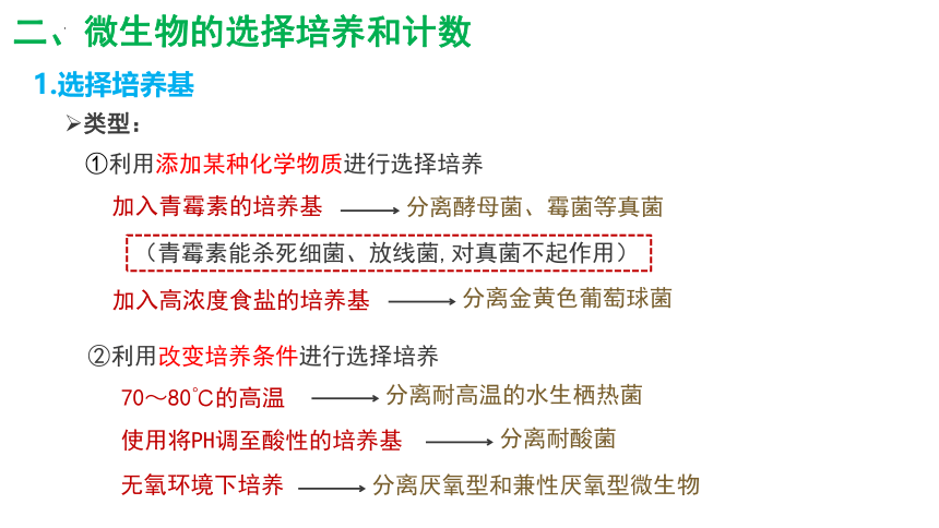 1.2.2微生物的培养技术及应用课件2(共29张PPT)022-2023学年高二下学期生物人教版选择性必修3