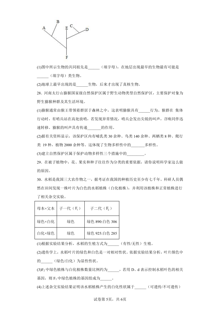 鲁教版生物八年级下册期末检测夯实基础强化训练试题1（含解析）