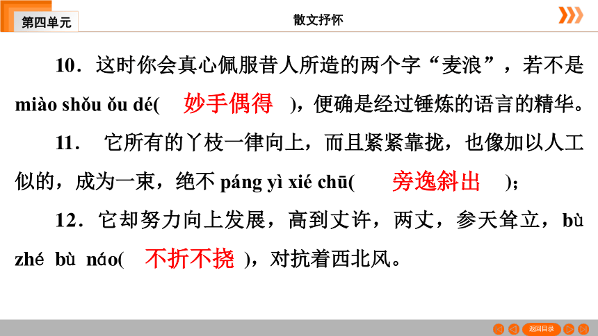 15 白杨礼赞习题课件（共49张幻灯片）