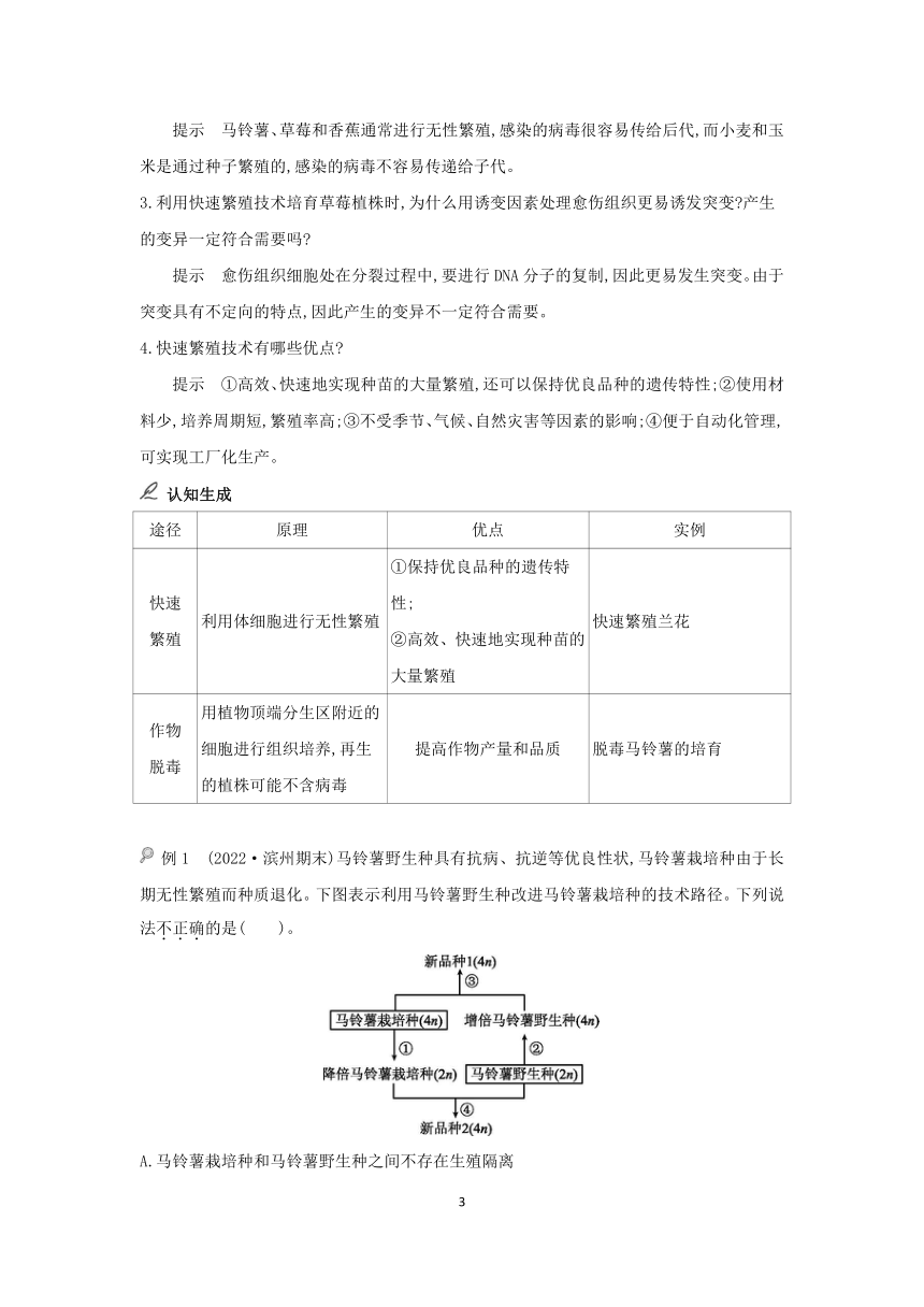 2.1  植物细胞工程的应用 第2课时  学案 2023-2024学年高二生物人教版（2019）选择性必修3（含答案）