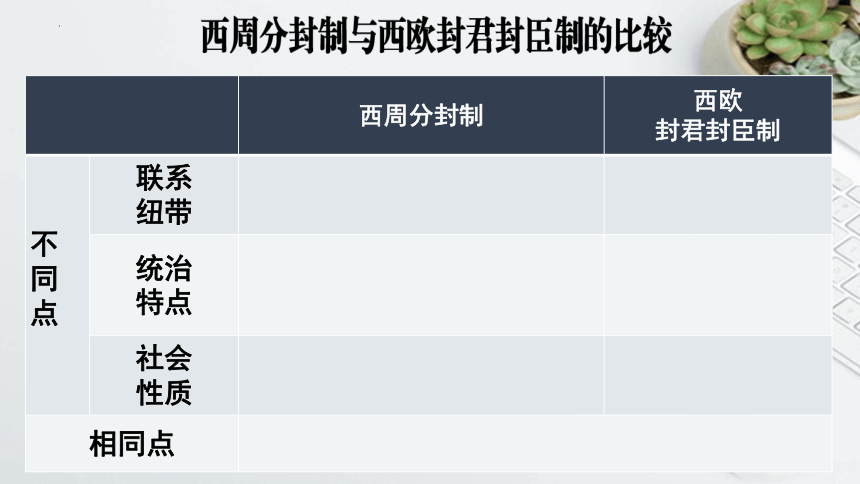 第3课 中古时期的欧洲  课件(共25张PPT)--2022-2023学年高中历史统编版（2019）必修中外历史纲要下册