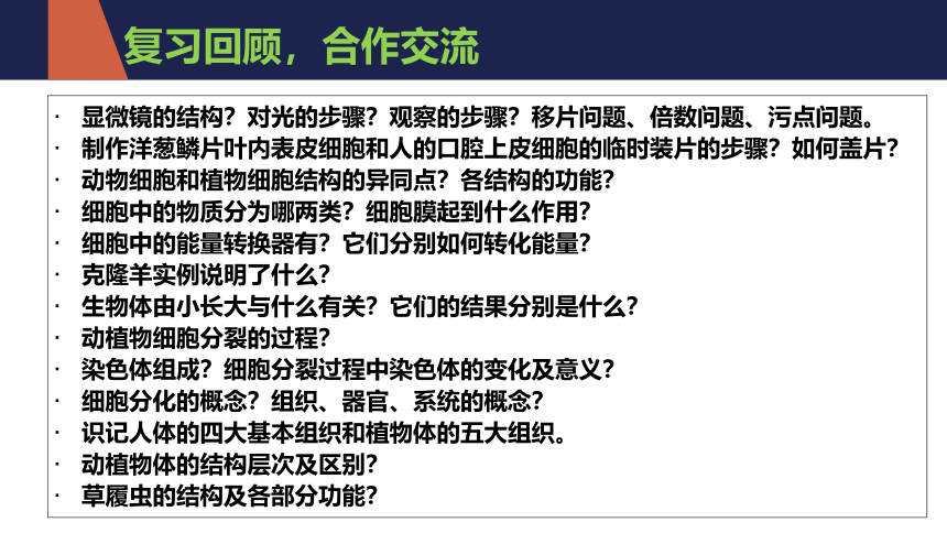 2021-2022学年人教版七年级生物上册第二单元  生物体的结构层次  复习课件(共20张PPT)