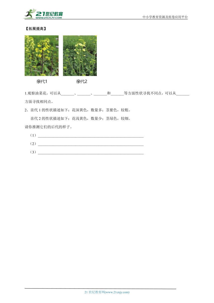 【新课标】2.6《植物的后代与亲代》分层练习（含答案）