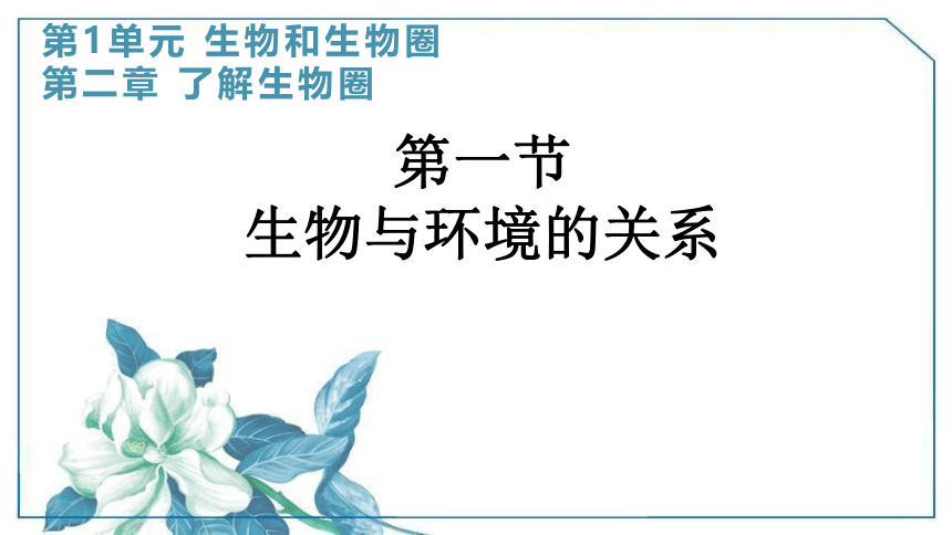 2022--2023学年人教版生物七年级上册 2.1.1生物与环境的关系 第一课时课件（ 含视频 共31张PPT）