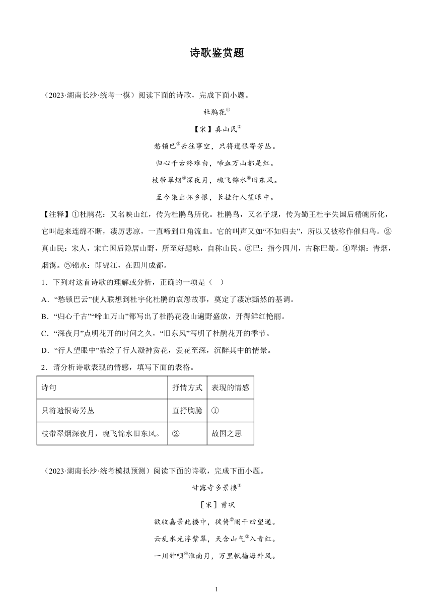 2023年湖南省九年级语文中考一模试题分项选编：诗歌鉴赏题（含解析）