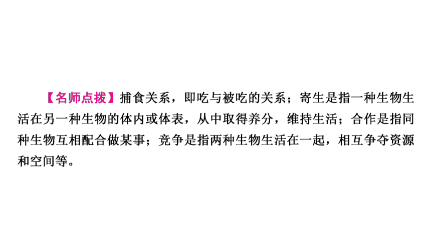 2021年中考甘肃专用生物考点梳理第1单元　第2章　了解生物圈 课件（53张PPT）