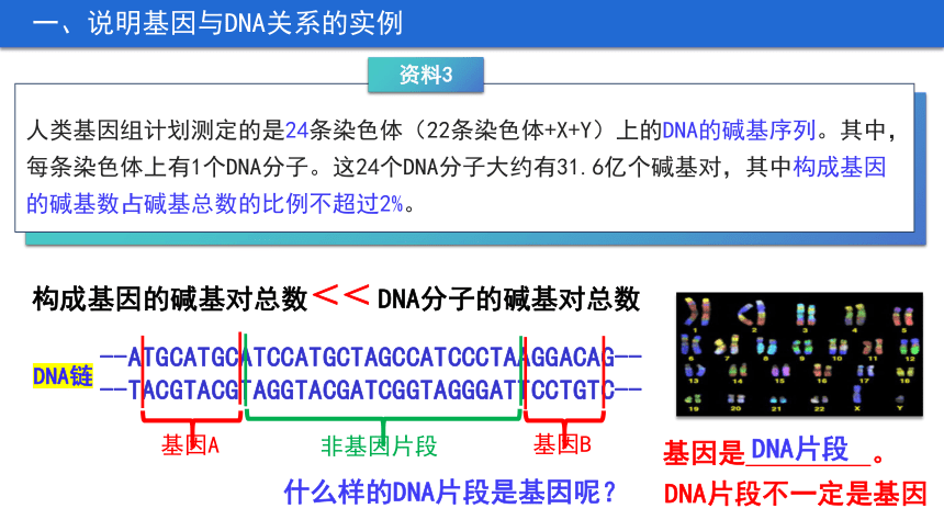 3.4 基因通常是有遗传效应的DNA片段课件(共28张PPT)-人教版必修2