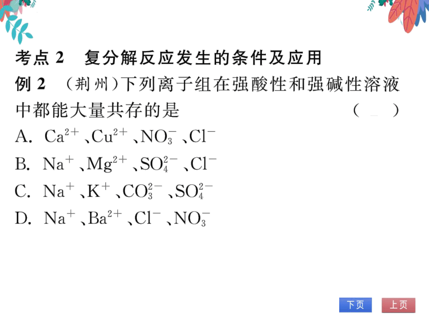 【人教版】化学九年级下册-第十一单元 整理与复习 (习题课件)