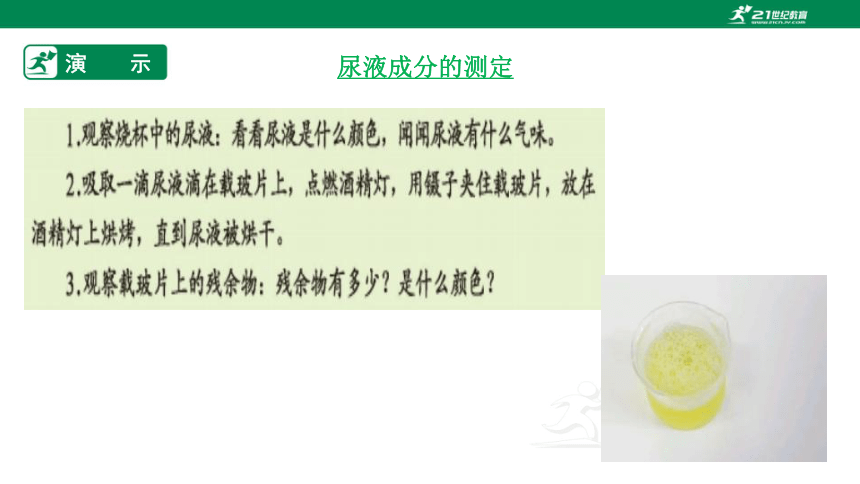 4.11.1 人体产生的代谢废物-2022-2023学年七年级生物下册同步课件（北师大版）(共26张PPT)