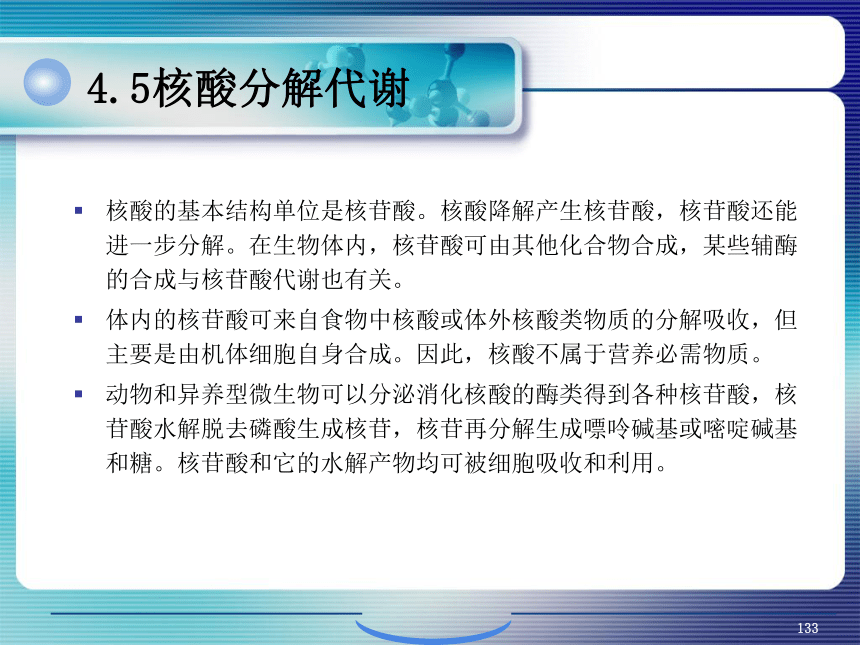 4.细胞内生物分子的新陈代谢_5 课件(共62张PPT）- 《环境生物化学》同步教学（机工版·2020）