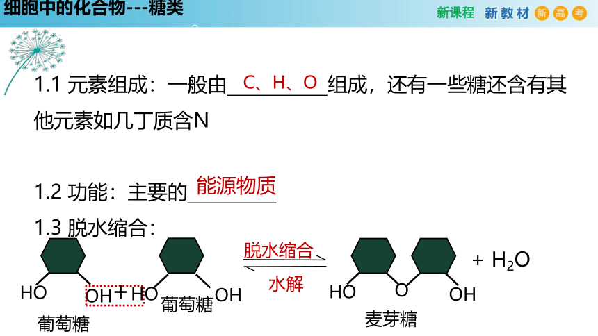 2.3 细胞中的糖类和脂质(2课时）(课件共22张PPT)