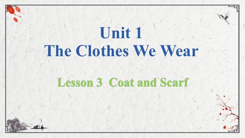 Unit 1 Lesson 3 Coat and Scarf课件（14张PPT)
