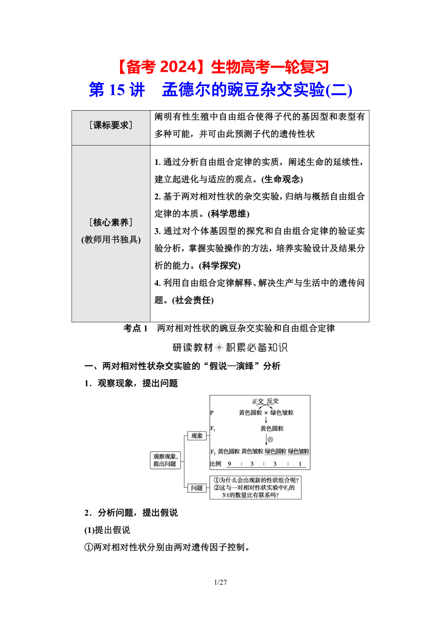 【备考2024】生物高考一轮复习学案：第15讲 孟德尔的豌豆杂交实验(二)(含答案）