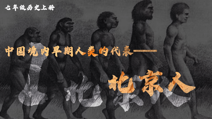 第1课  中国境内早期人类的代表——北京人 课件（40张PPT）2023-2024学年部编版七年级历史上册