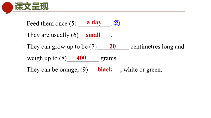 Unit 8 Pets Period 4 Integrated skills & Study skills 课件(共31张PPT)