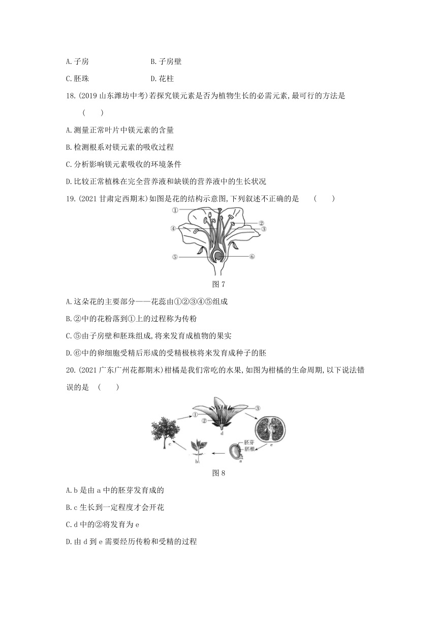 第三单元 第一章生物圈中有哪些绿色植物&第二章被子植物的一生练习(word版含解析）