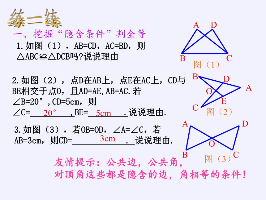 苏科版八年级数学上册 第一章 数学活动 关于三角形全等的条件(3)（课件）(共12张PPT)