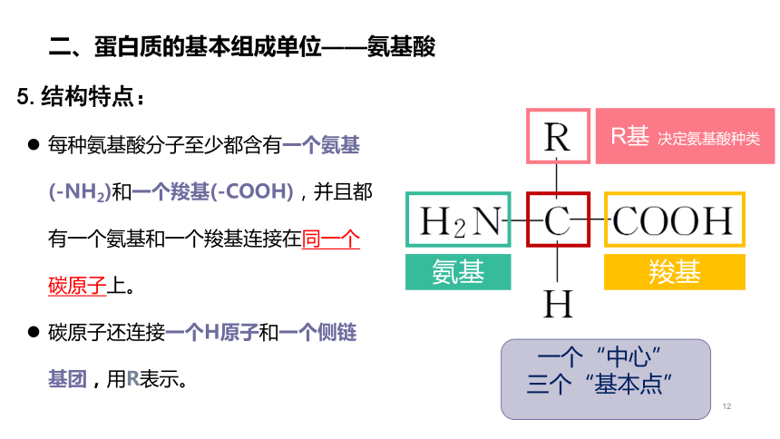 生物人教版（2019）必修1 2.4 蛋白质是生命活动的主要承担者（共51张ppt）