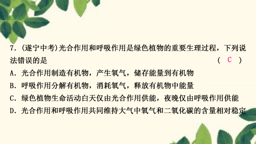 人教版生物七年级上册 期末复习专题(四)　第三单元 第三～六章 复习课件(共22张PPT)