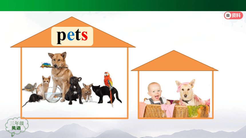 Unit 4 Pets Lesson 1 课件(共55张PPT)