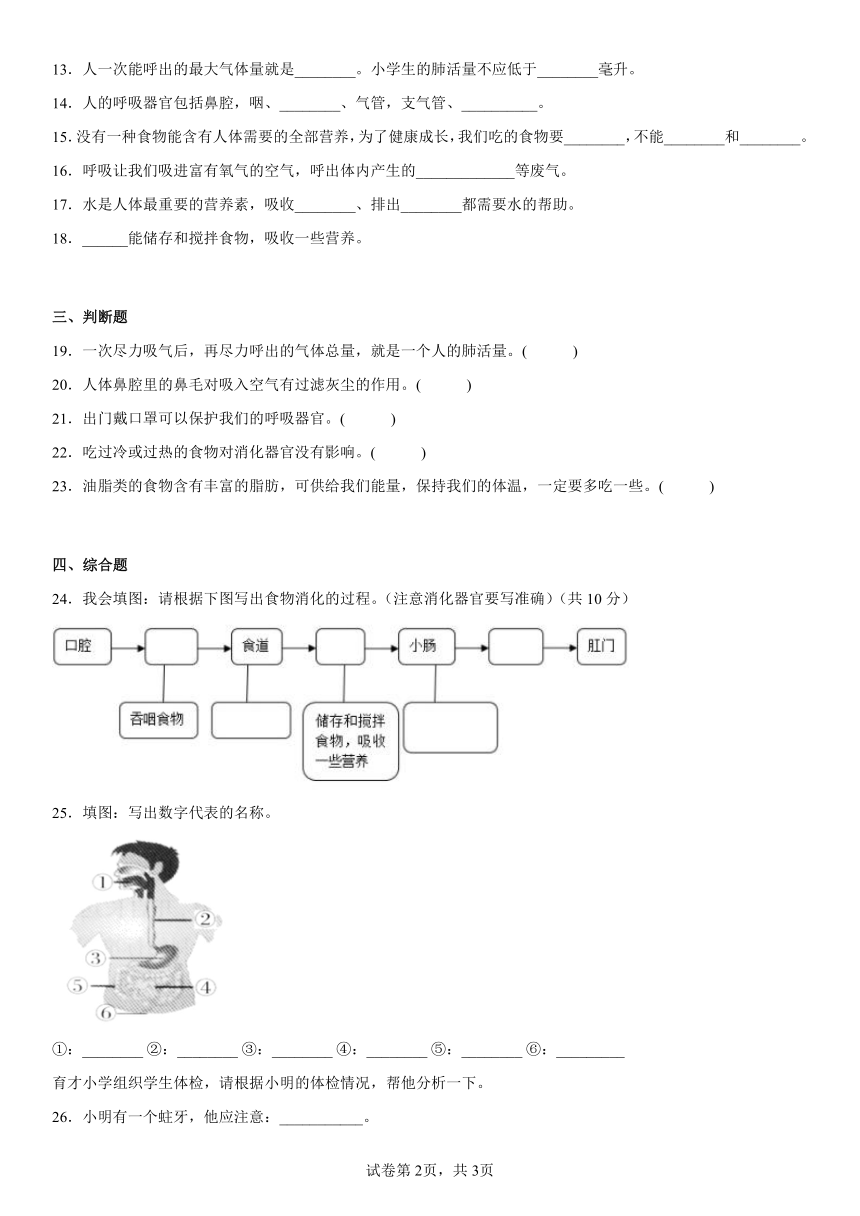 苏教版（2017秋）三年级上册第五单元人的呼吸与消化（单元测试B）（含答案）