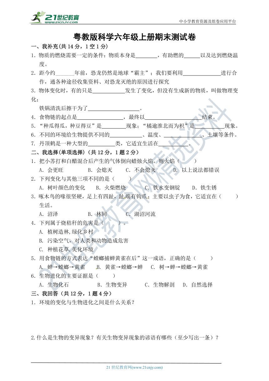 粤教版科学六年级上册期末测试卷（含答案）（50分制）