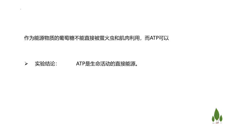 3.1  ATP是细胞内的”能量通货“课件（44张ppt，含1个视频）-高一生物学（浙科版2019必修1）