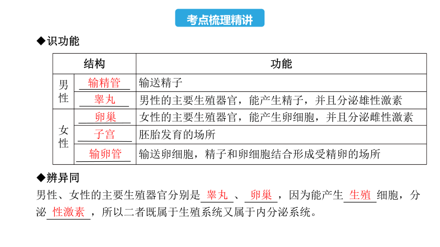 第四单元  第一章  人的由来-2023年中考生物复习课件（人教版）(共18张PPT)