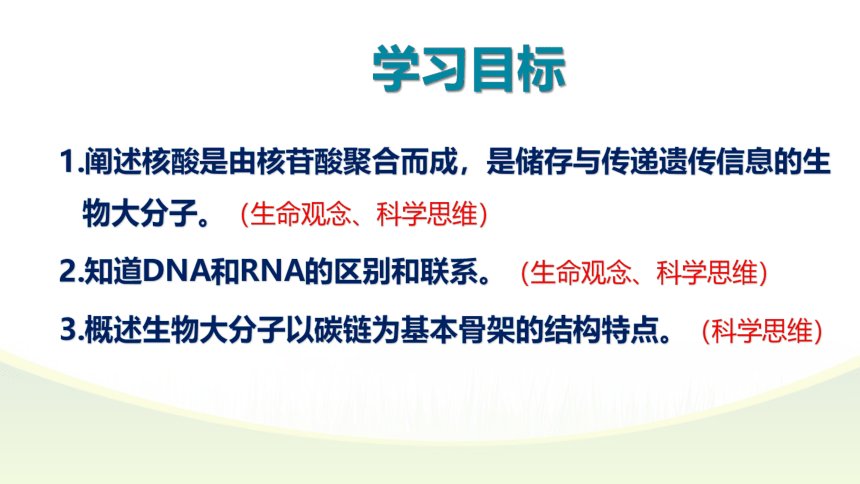 2021-2022学年高一上学期生物人教版必修一2.5核酸是遗传信息的携带者课件（共36张PPT）