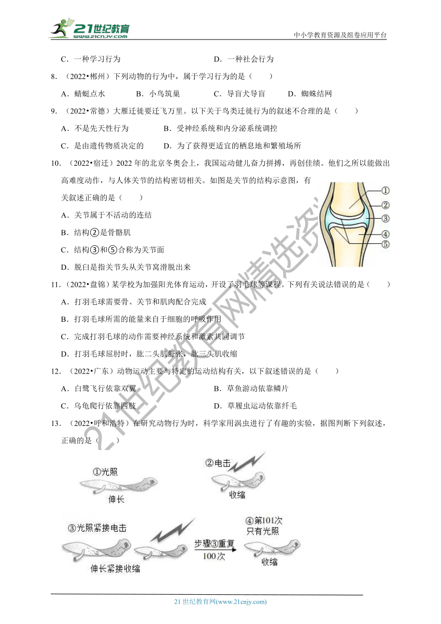 【备考2023】2022年中考生物真题分类汇编5——动物的运动和行为部分（含解析）