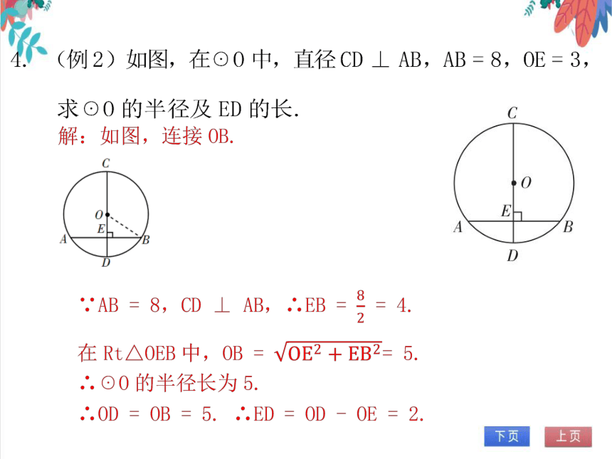 【北师大版】数学九(下)3.3.1 垂径定理 同步练习本（课件版）