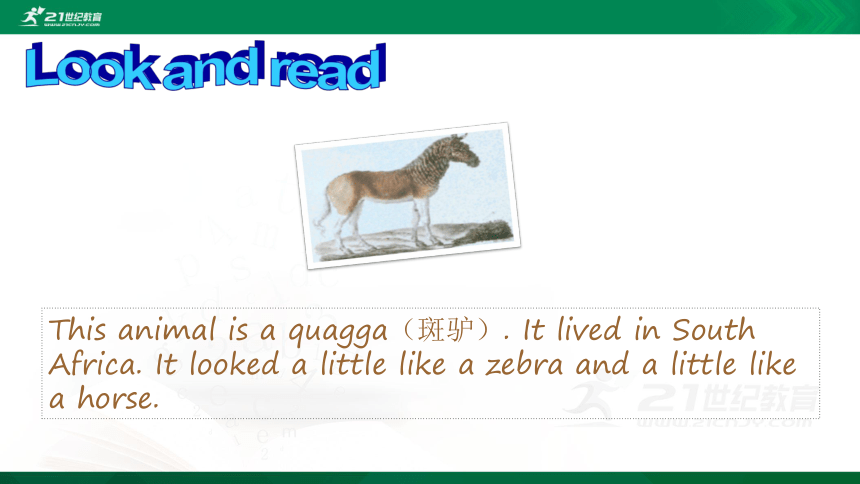 Unit5 Animals in danger Lesson2同步课件