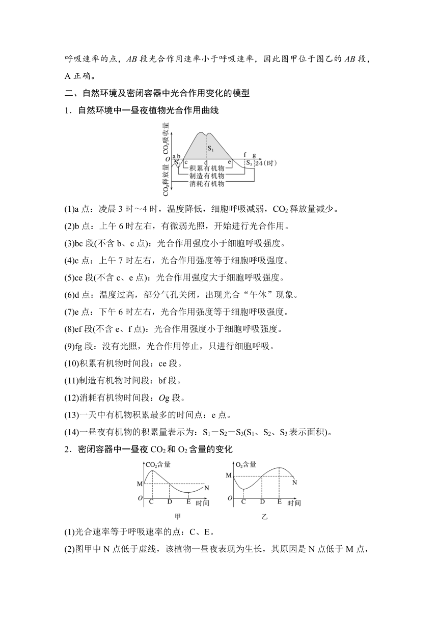 2022-2023学年苏教版（2019）高中生物必修1 第三章 第四节 微专题三 光合作用与细胞呼吸的关系、曲线模型及相关实验设计（学案+跟踪练 word版含解析）